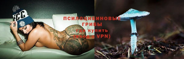тгк Володарск