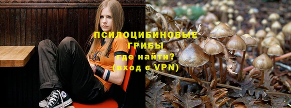 прущие крисы Волосово