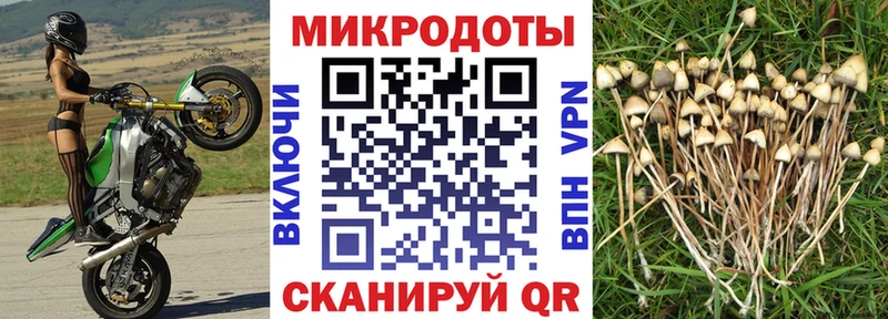 Галлюциногенные грибы ЛСД  Искитим 